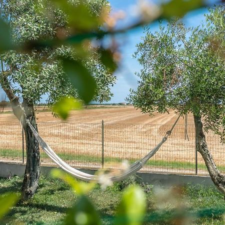 Ortopi Country Canapa House Porto Recanati Luaran gambar