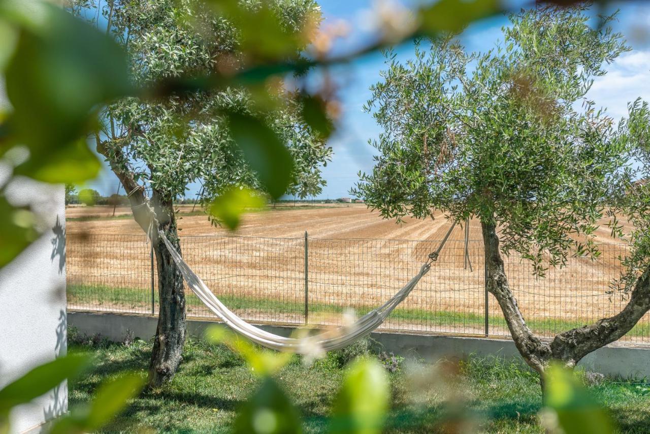 Ortopi Country Canapa House Porto Recanati Luaran gambar